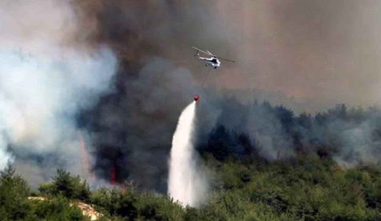 Ne kadar para o kadar yangın! Hainlerden orman yangını itirafı