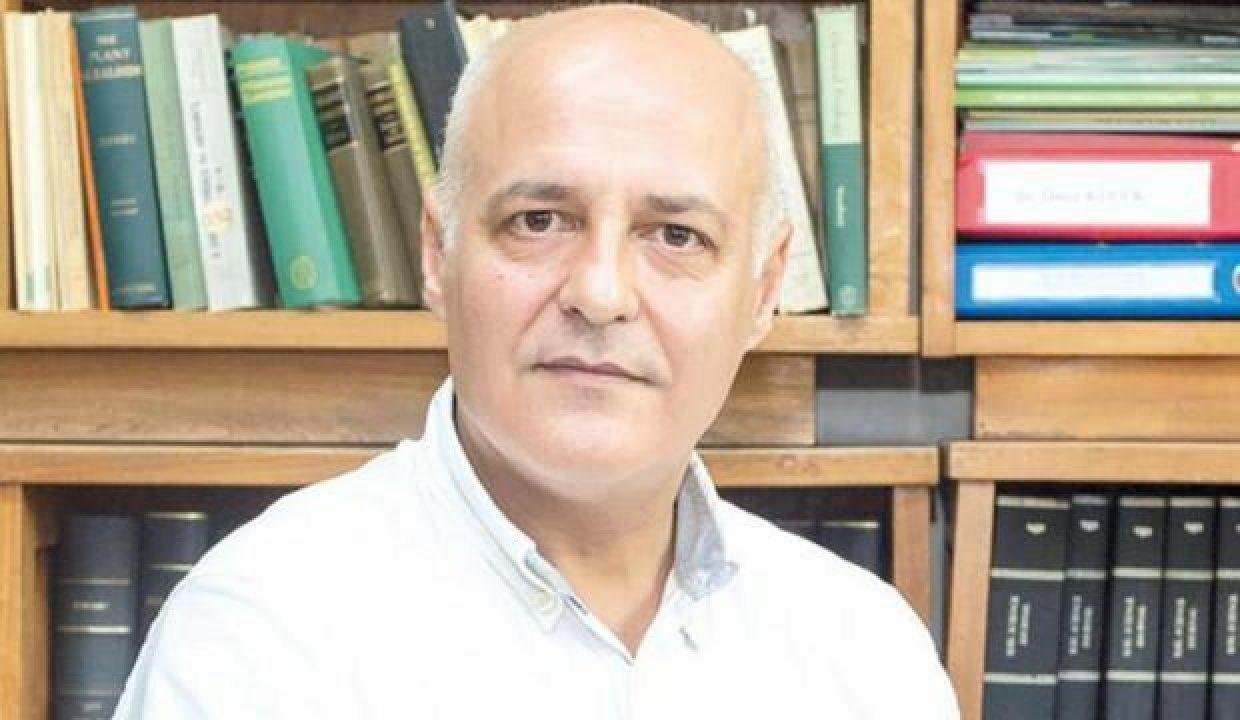 Prof. Dr. Tolunay: Ormanlarda yanan ağaçları satalım, 2 milyar lira elde edelim