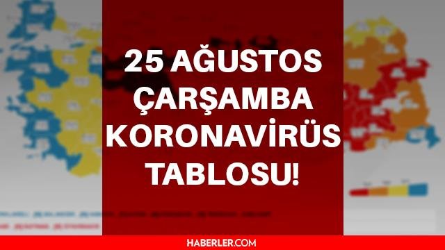 Son dakika… 25 Ağustos Koronavirüs tablosu vaka sayısı açıklanıyor – Son Dakika corona virüs vefat sayısı ve vaka sayısı kaç?