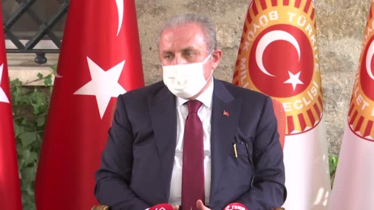 TBMM Lideri Şentop, AB’nin göç, İslamofobi ve Doğu Akdeniz siyasetlerini eleştirdi (2)