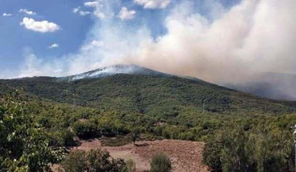 Tunceli’de örtü yangını! Havadan müdahale ediliyor