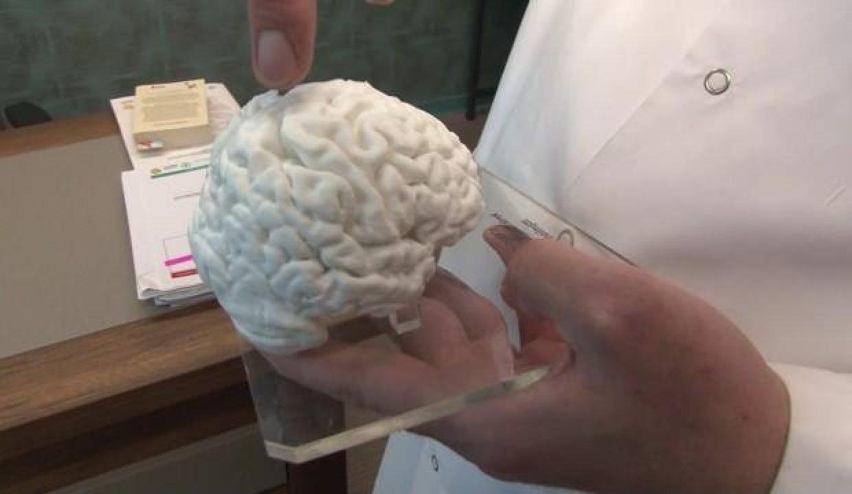 Türkiye’de bir ilk: Üç boyutlu yazıcıyla insan beyni