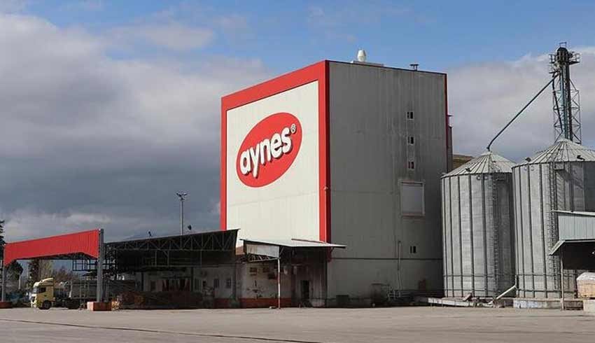 667 Milyona satışa çıkarılan Aynes’e 300 milyonluk teklif