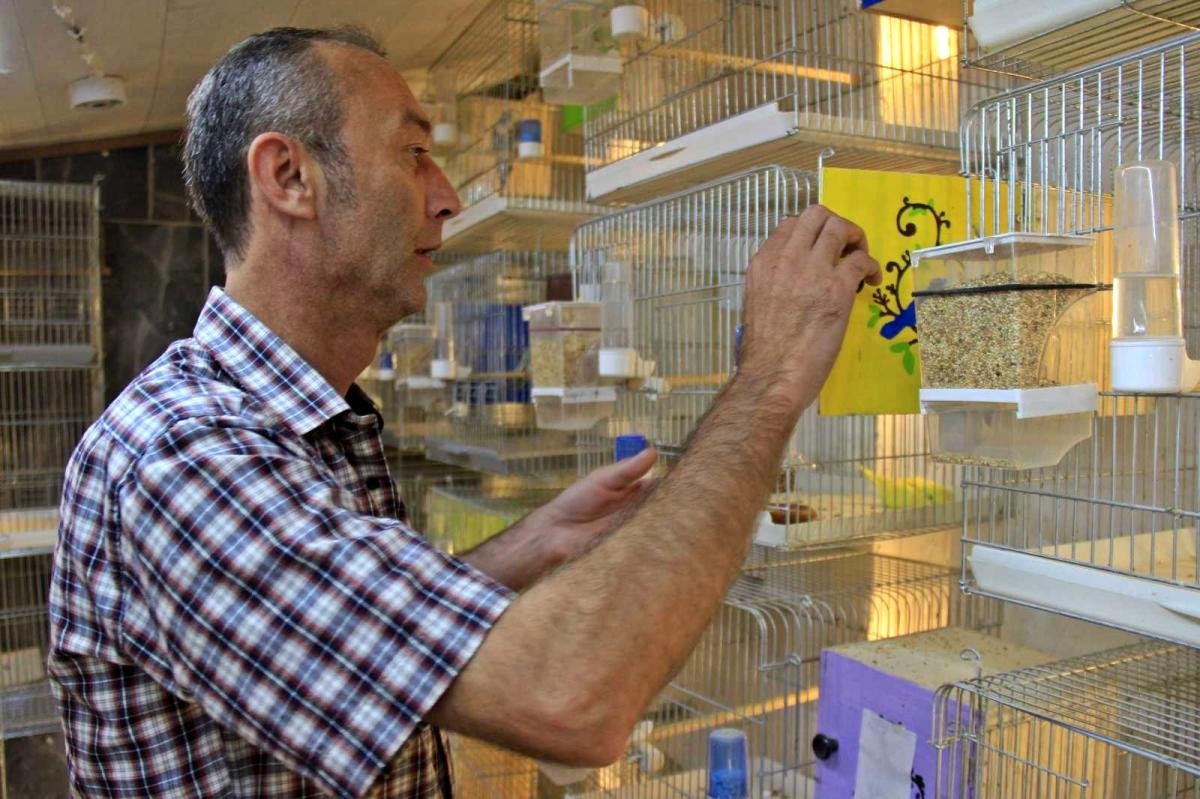 Alkol bağımlısıydı, bir muhabbet kuşu hayatını değiştirdi