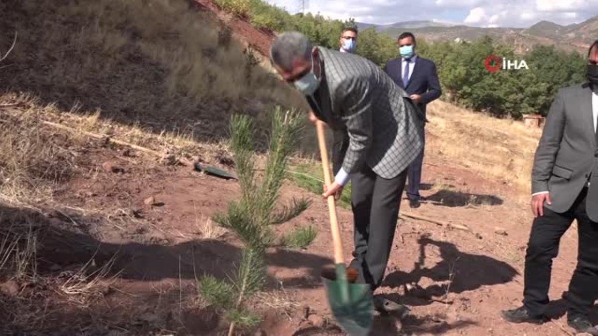 Birinci doz aşısını yaptıranlar için fidan dikilecek