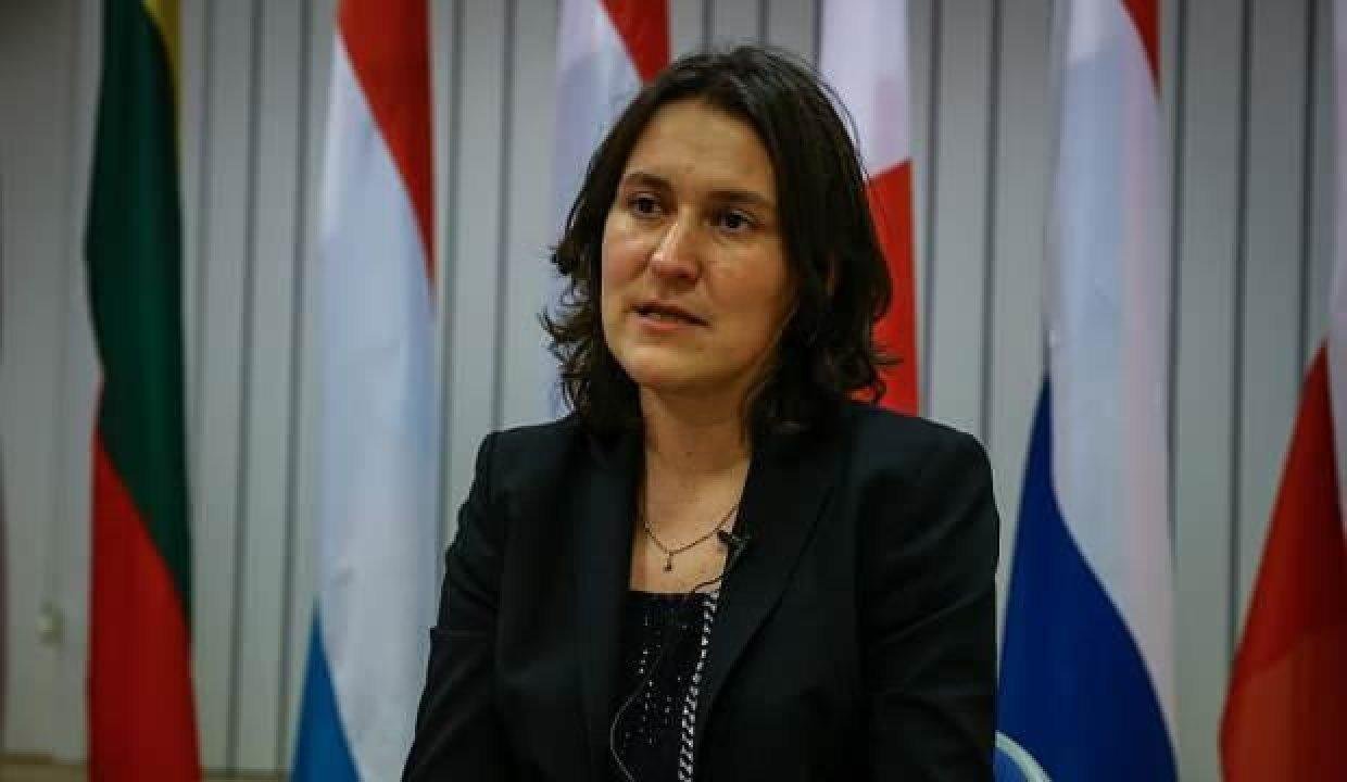 Büyükelçilerin geri adımı Türk düşmanı Kati Piri’yi rahatsız etti