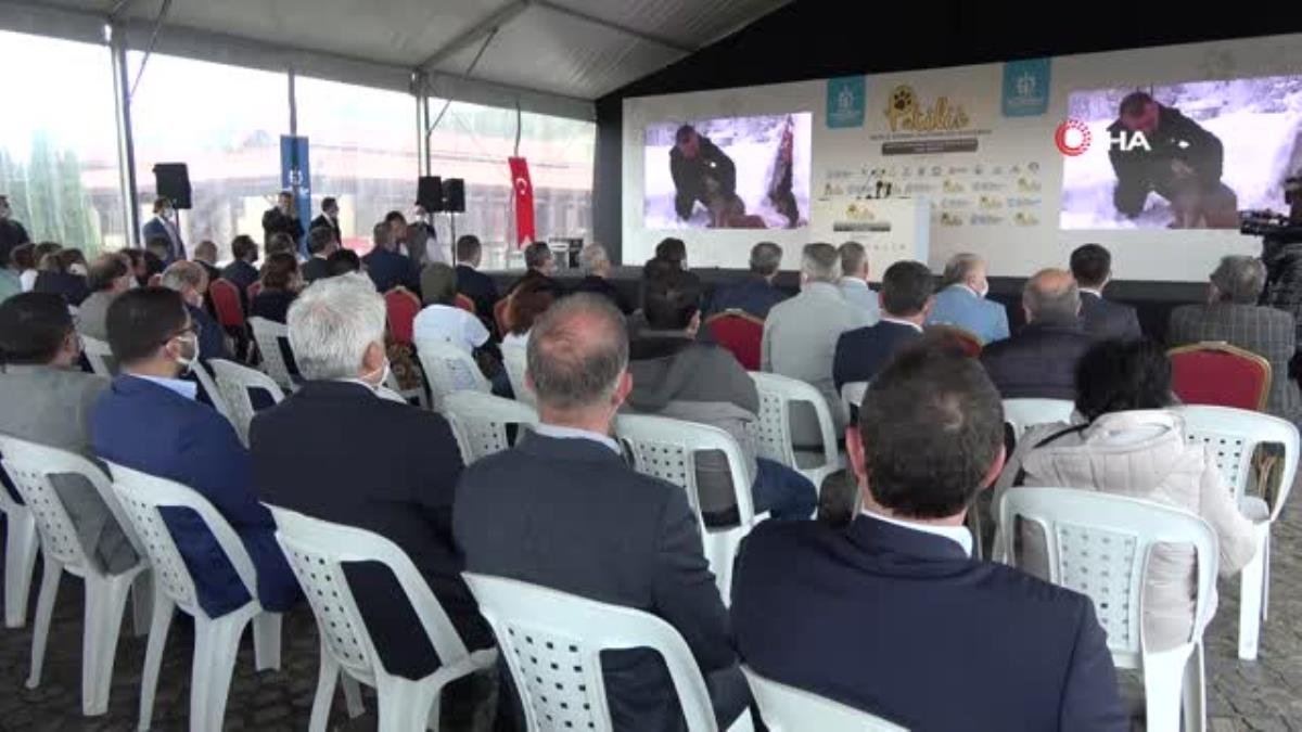 Felçli sokak hayvanları bu merkez ile özgürlüğüne kavuşacak