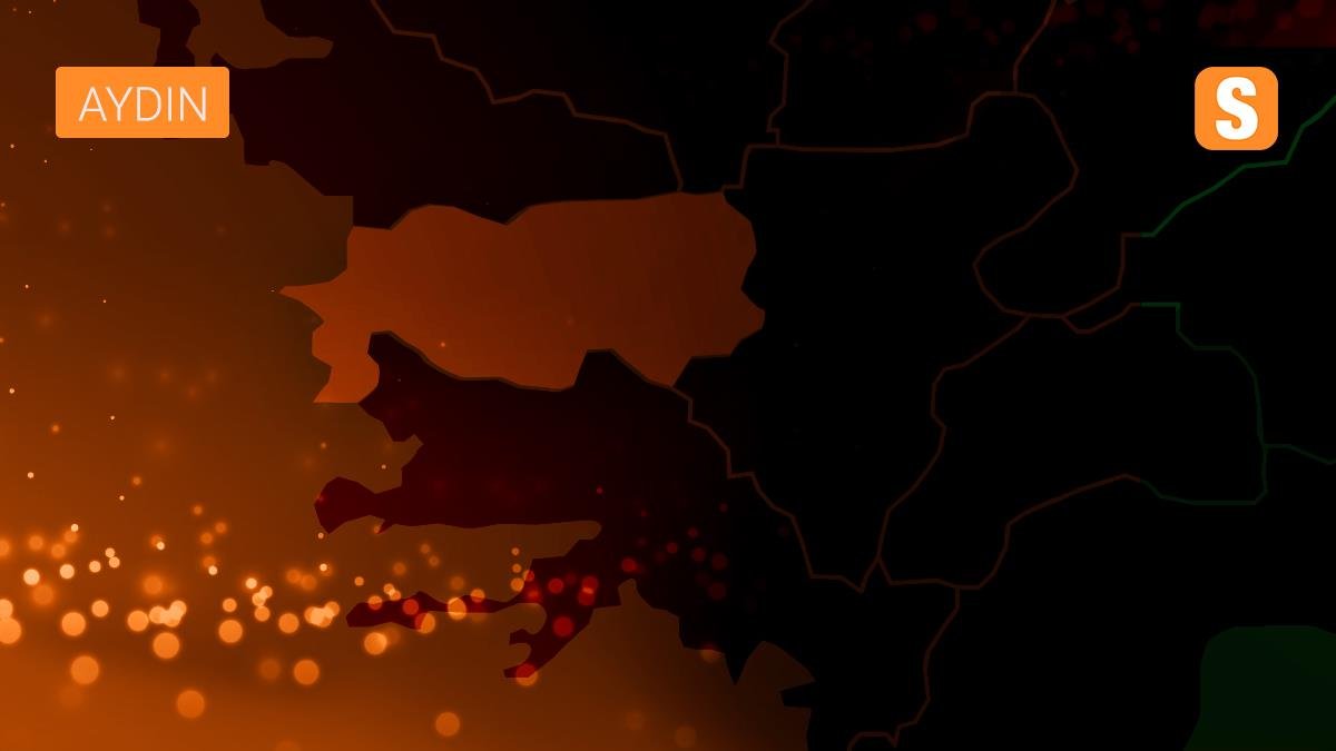 HDP’li meclis üyesi, belediye liderinin üzerine yürüdü