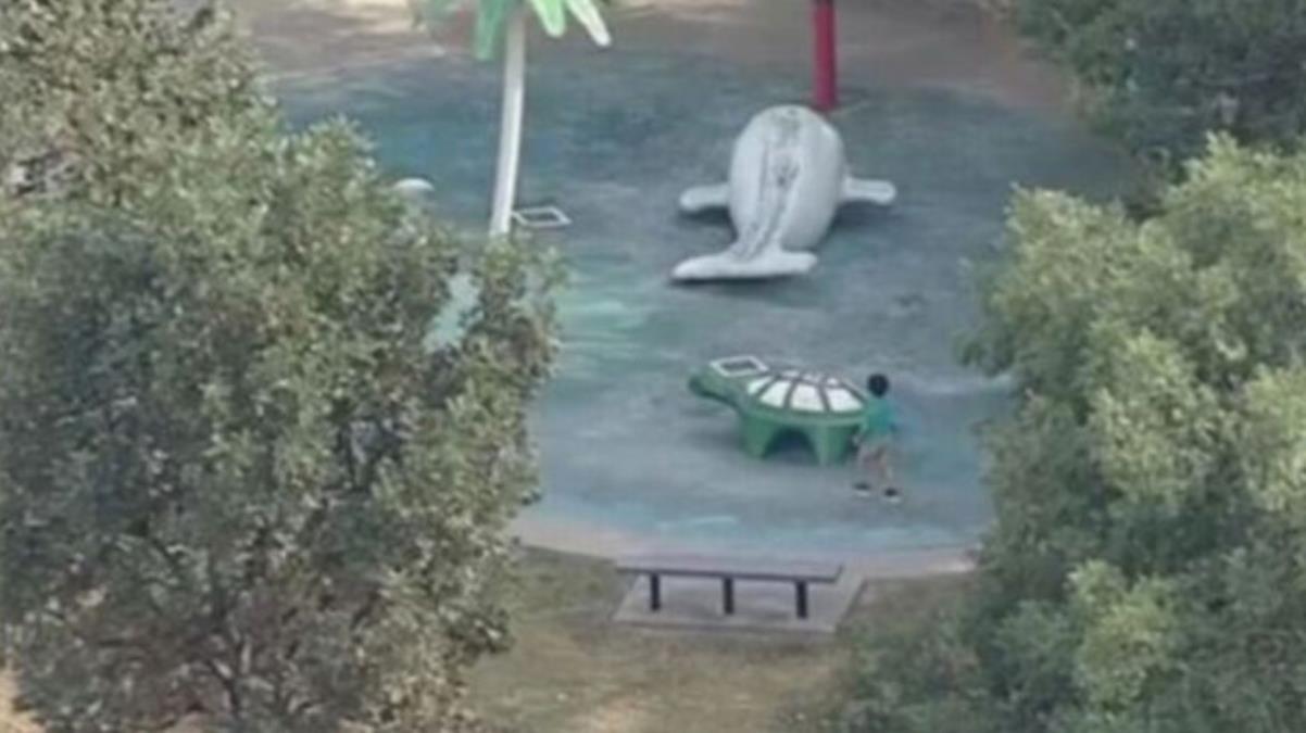 Parkta dehşet dolu anlar! Çocuğun burnundan giren amip, beynini yedi
