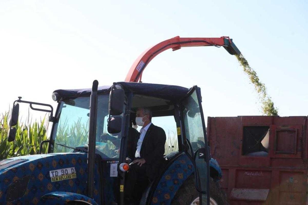 Şahinbey Belediye Lideri Tahmazoğlu, çiftçilerle mısır topladı