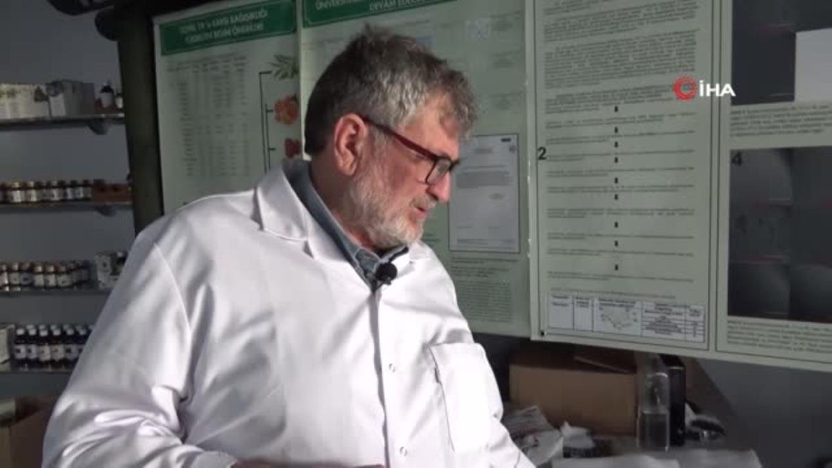 Semizotu tohumundan bitkisel omega 3 ilaç etken hususu üretiyorlar