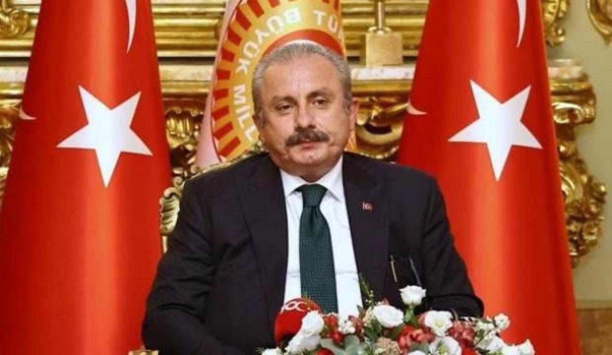 Şentop: İklim değişikliğiyle gayrette bütün adımları atacağız