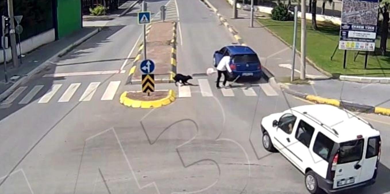 Son dakika 3. sayfa: Dikkatsizliğin bu kadarı: Köpek bile bu kaza karşısında şaşırdı kaldı
