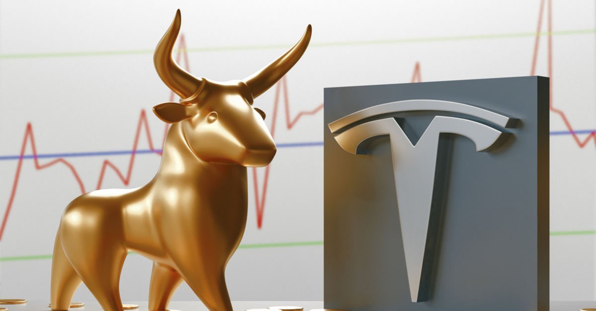 2008 krizini varsayım eden Burry, Tesla’ya yenildi