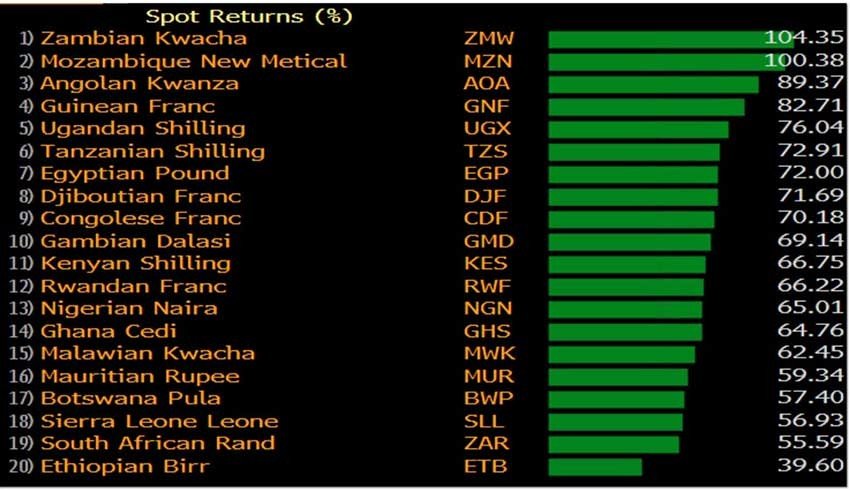 TL, adı bile duyulmamış Afrika Paraları karşısında %100 değer kabına uğradı