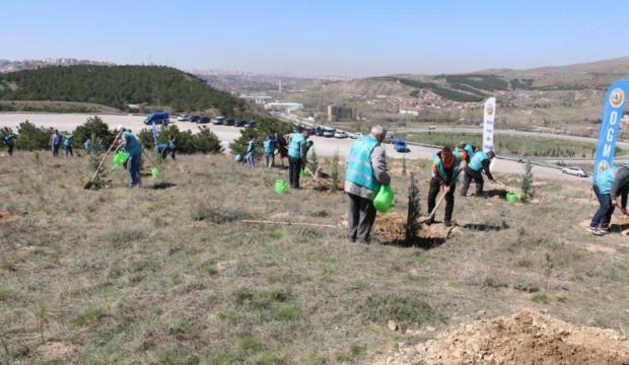 Adalet teşkilatı ağaçlandırma seferberliğinde 111 bin fidanı toprakla buluşturacak
