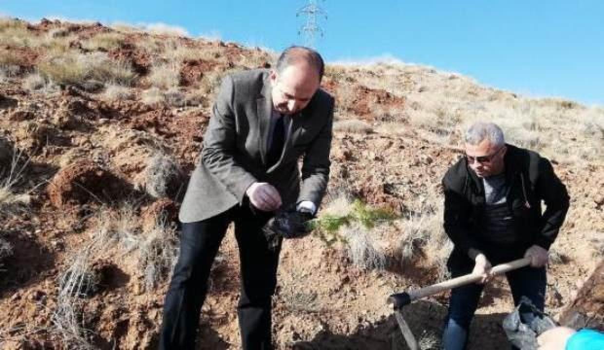 Aksaray Müftülüğü dua ile fidan dikti