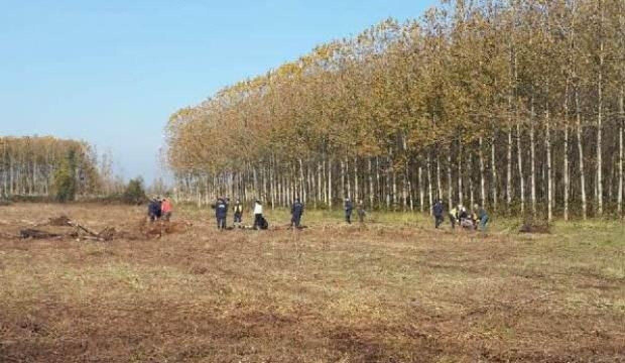Arazi hengamesinde tabancayla vurulan baba ve oğlu öldü
