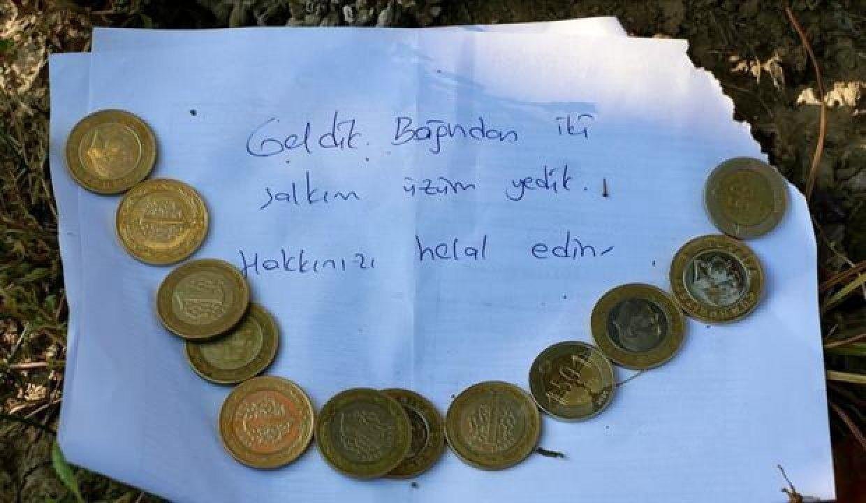 Bağından müsaadesiz yenen üzüm için bırakılan not çiftçiyi duygulandırdı