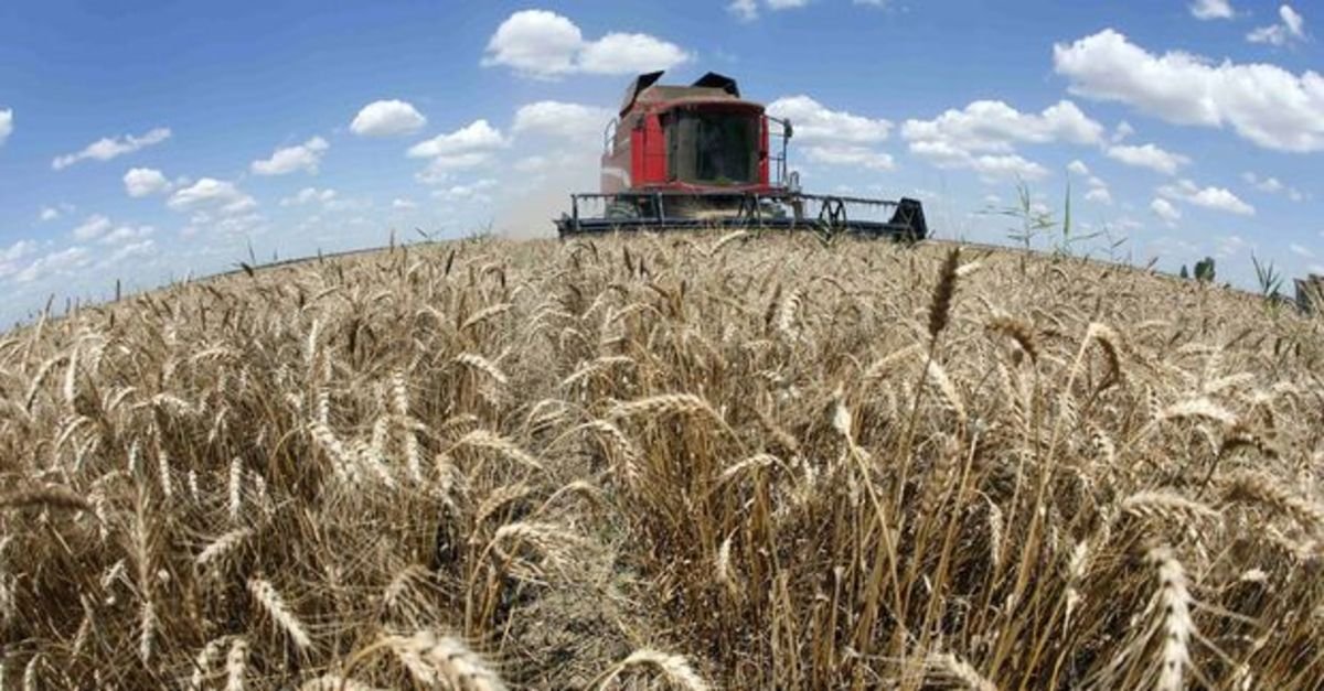 Besin Komitesi’nden süt ve hububat kararı