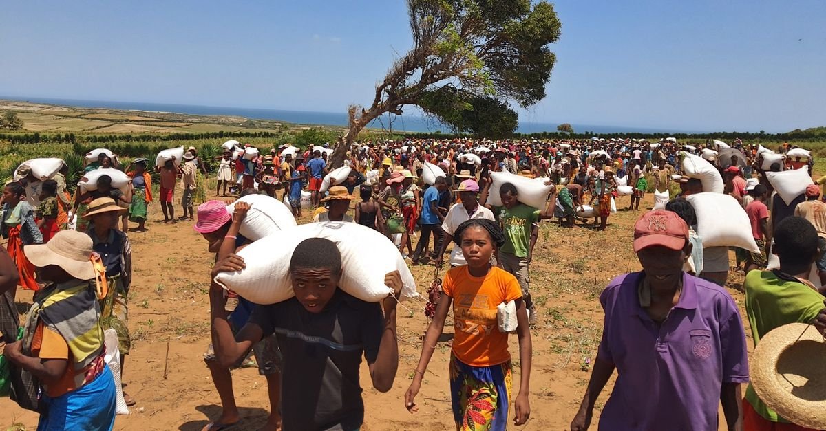 BM: Madagaskar iklim değişikliğine bağlı birinci kıtlığın eşiğinde