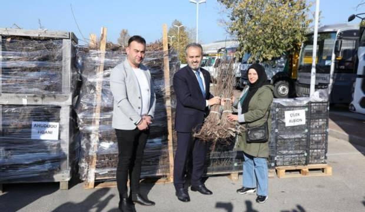Bursa’nın toprağı Büyükşehir’le bereketleniyor