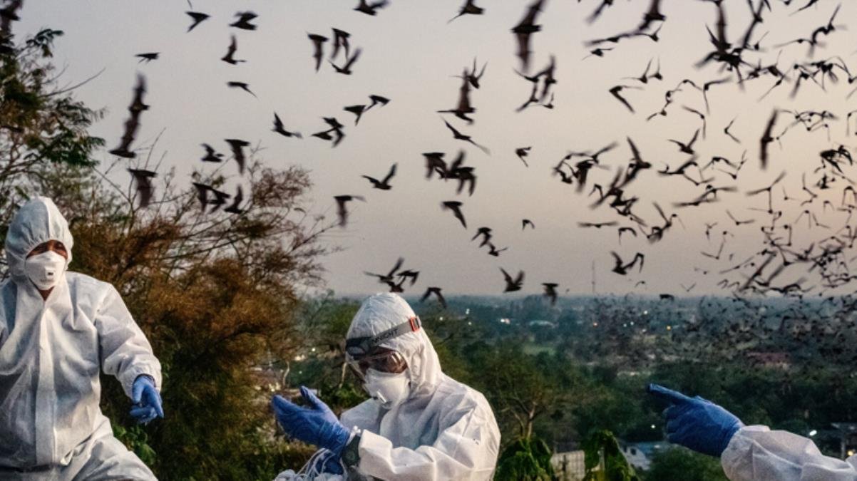 Çin, koronanın kökenini bulmak için harekete geçti! Wuhan’da 200 binden fazla kan örneği toplandı