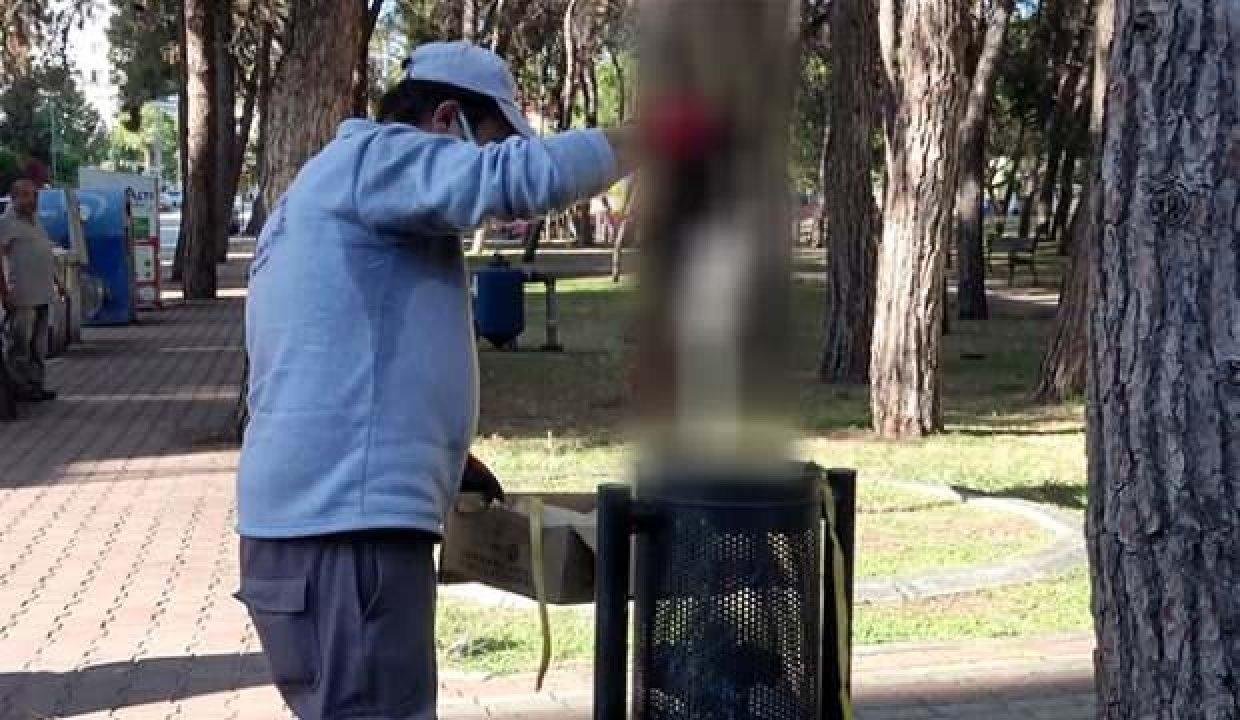 Çöpte yanmış kedi bulundu!