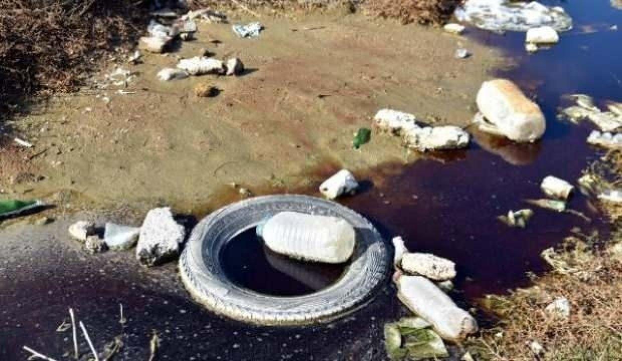 Edirne’de çevrecileri hareket geçiren imaj