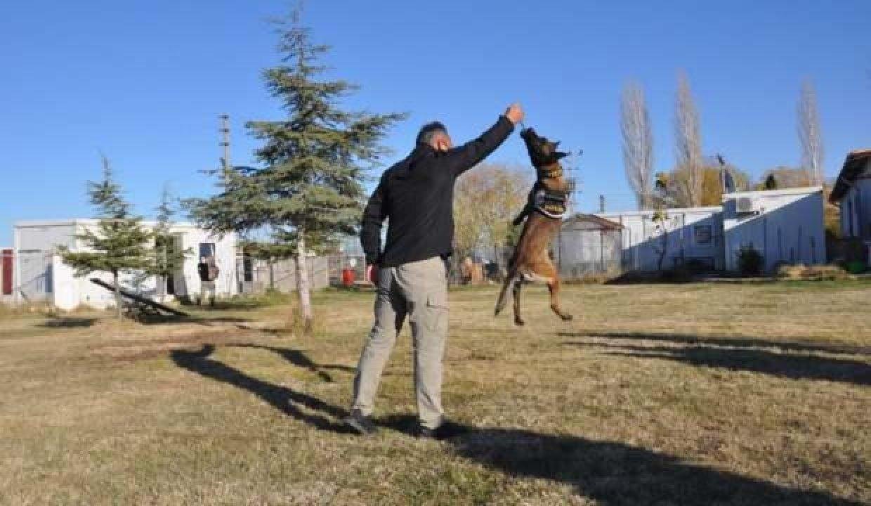 Emniyet “Zela”yı emekliye ayırdı, misyonu “Bella”ya verildi