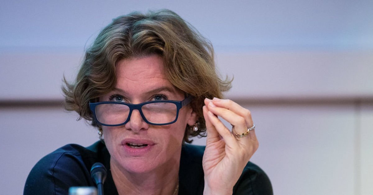 ‘Girişimci Devlet’in teorisini yazan Mazzucato: Türkiye yeşil dönüşüm için çok uygun pozisyonda