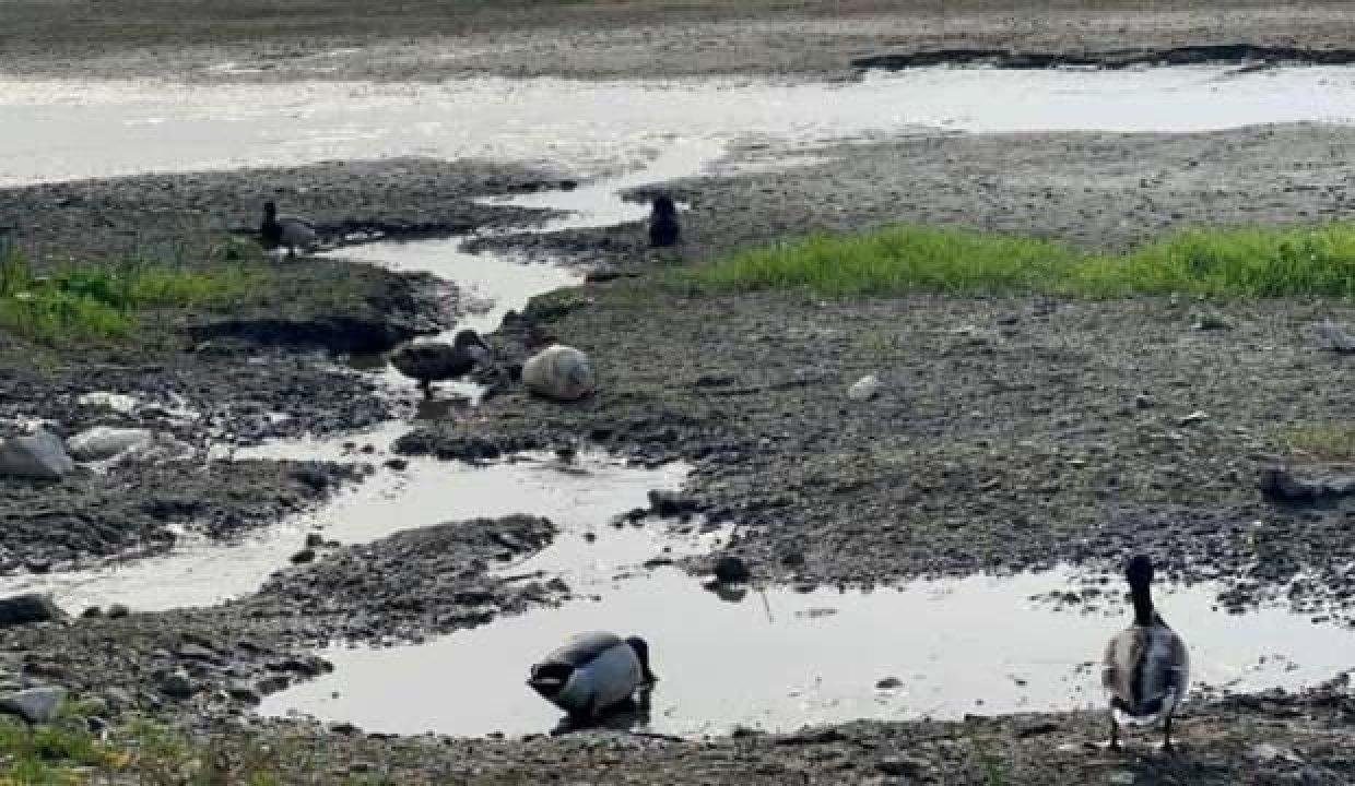 İstanbul’un yanı başında tehlike büyüyor! İki ayda 170 metre daha