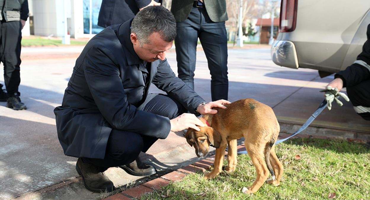 Lider Büyükakın; “Hayvanlara merhamet insan olmanın gereğidir”