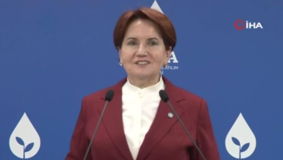 Meral Akşener ve Ali Babacan bir ortaya geldi