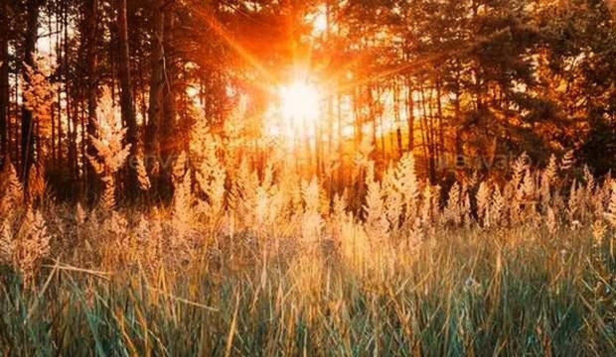 Pastırma sıcakları ne demek? Pastırma sıcakları ne kadar sürer 2021? Pastırma yazı öyküsü