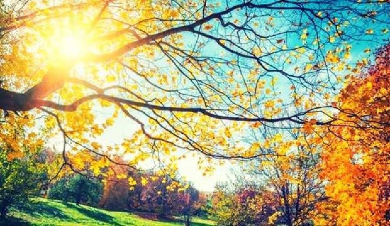 Pastırma sıcakları ne demek? Pastırma sıcakları ne vakit 2021? Neden pastırma sıcakları denir?