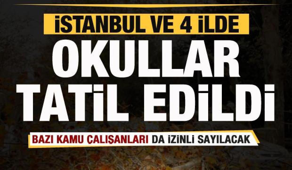 Son dakika: İstanbul ve 4 vilayette okullar tatil edildi!