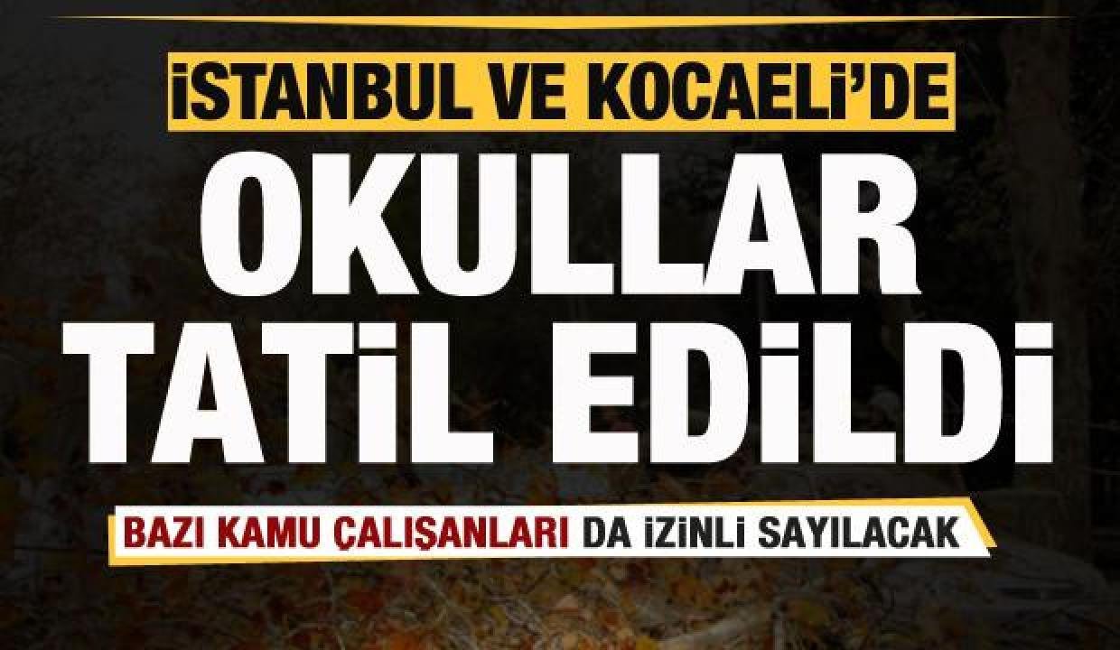 Son dakika: İstanbul ve Kocaeli’de okullar tatil edildi!