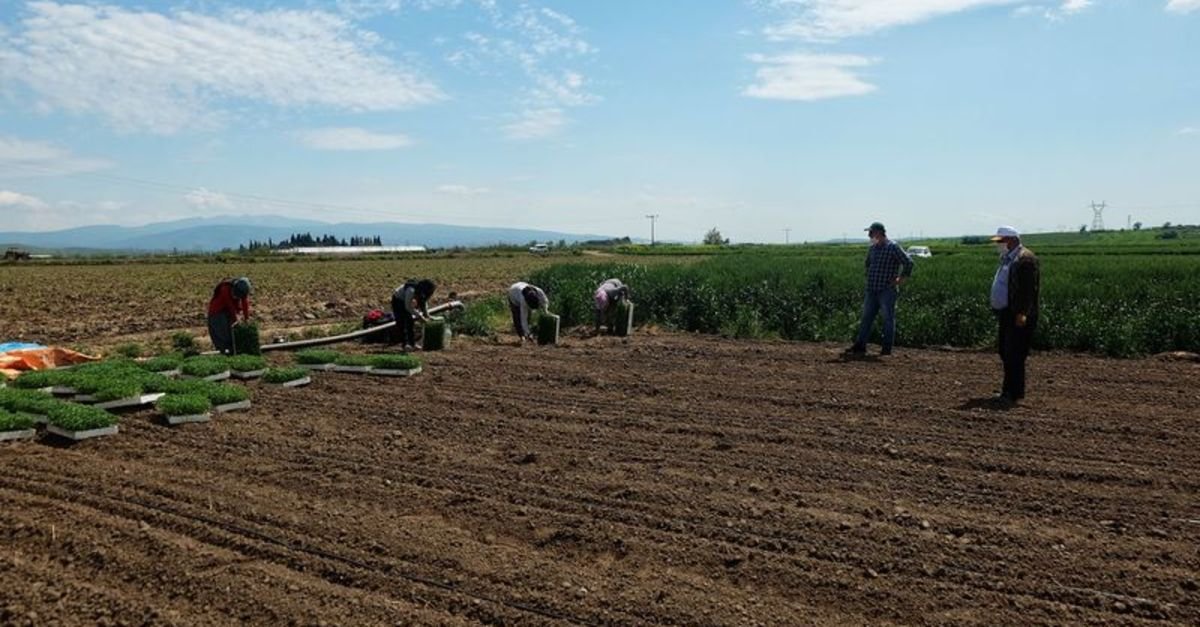 “Tarımsal takviyeler vakit kaybedilmeden ödenmeli”