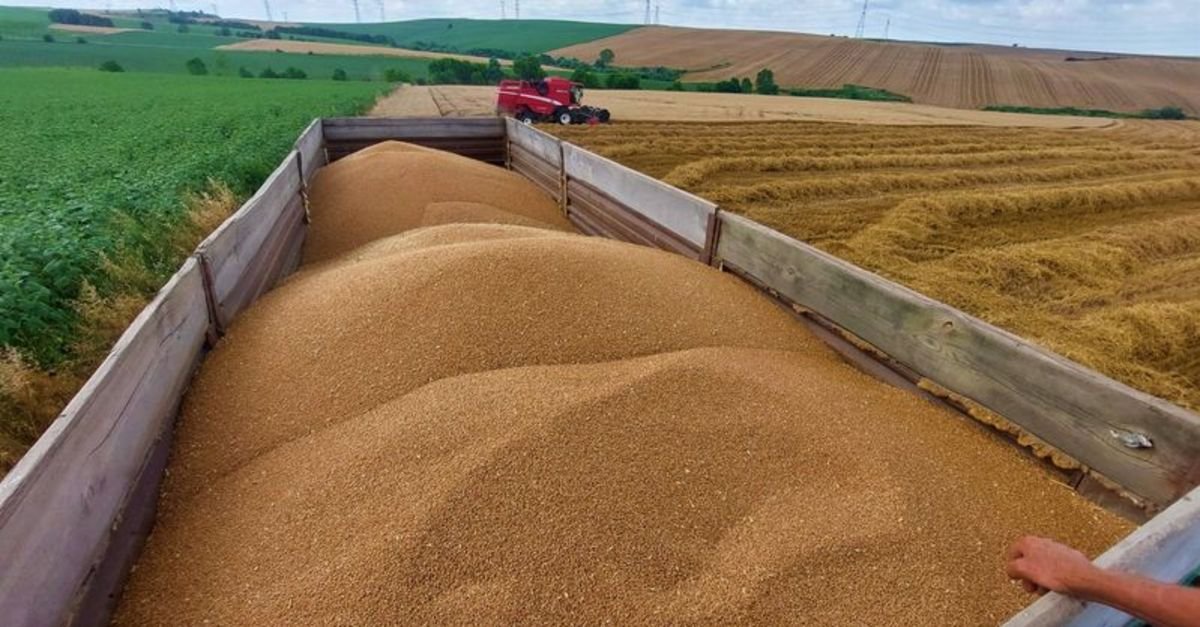 TMO, 385 bin tonluk buğday ithalatı ihalesinde teklifleri topladı