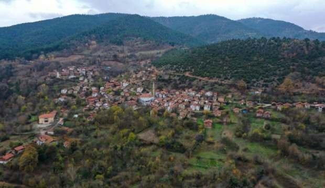 Türkiye’de bir birinci: Orman köyü kent değiştirecek