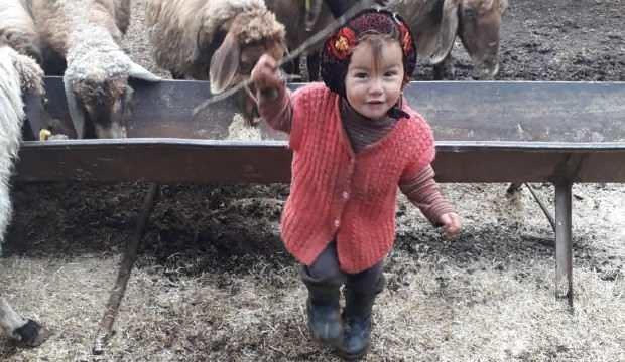 Türkiye’yi yasa boğmuştu: Küçük Müslüme’nin vefat nedeni belirli oldu