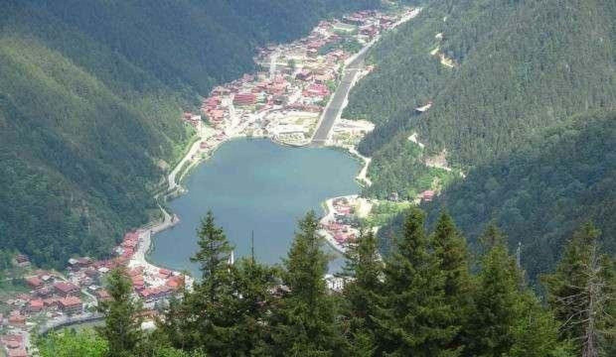 Uzungöl’de korkutan gelişme! Her geçen gün artıyor
