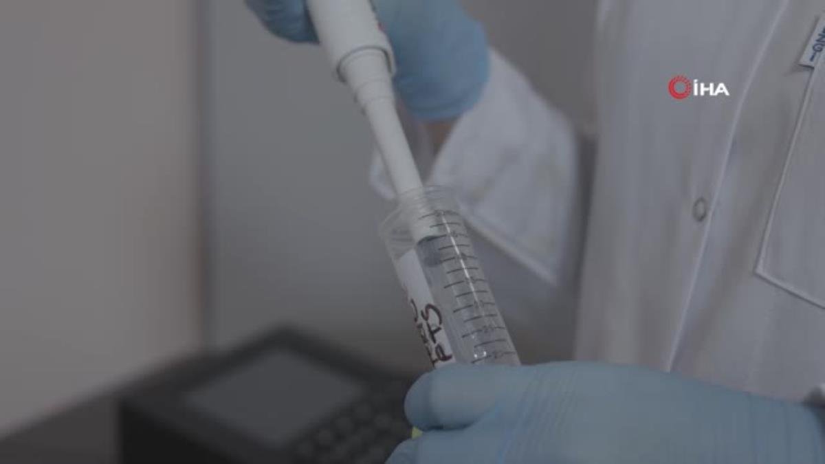 Yararlı diye bilinen doğal bitkilerde zehirlenme tehlikesine dikkat