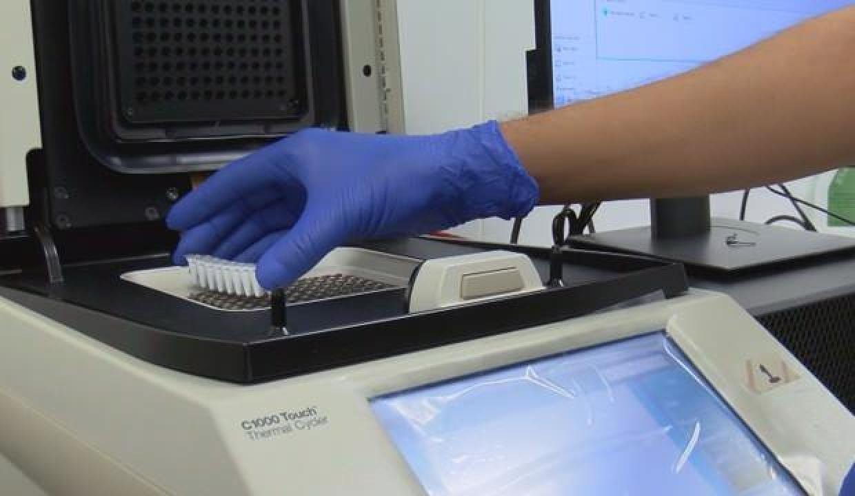 Yeni PCR testinde geri sayım! Mühlet yarı yarıya düşecek