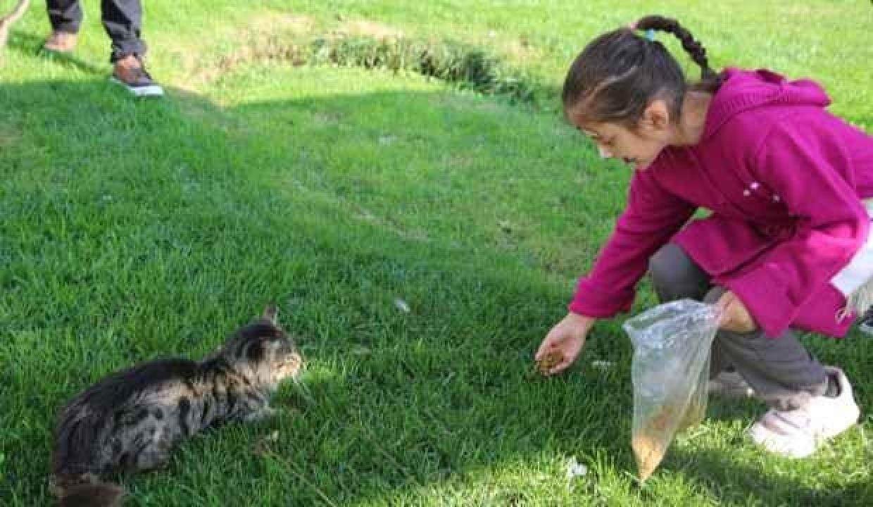 Yetim çocuklardan sokak hayvanları için manalı proje