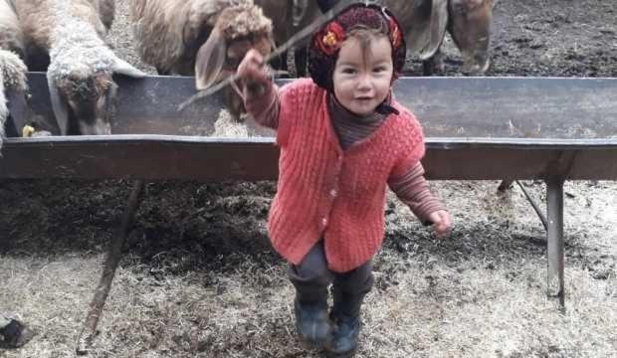 Yörük kızı Müslüme’nin mevtinde yeni gelişme!