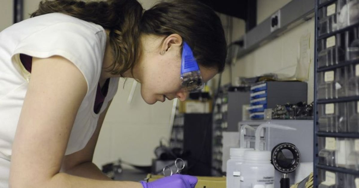 “Yükseköğrenim görmüş bayanlarda işsizlik inanılmaz yüksek”