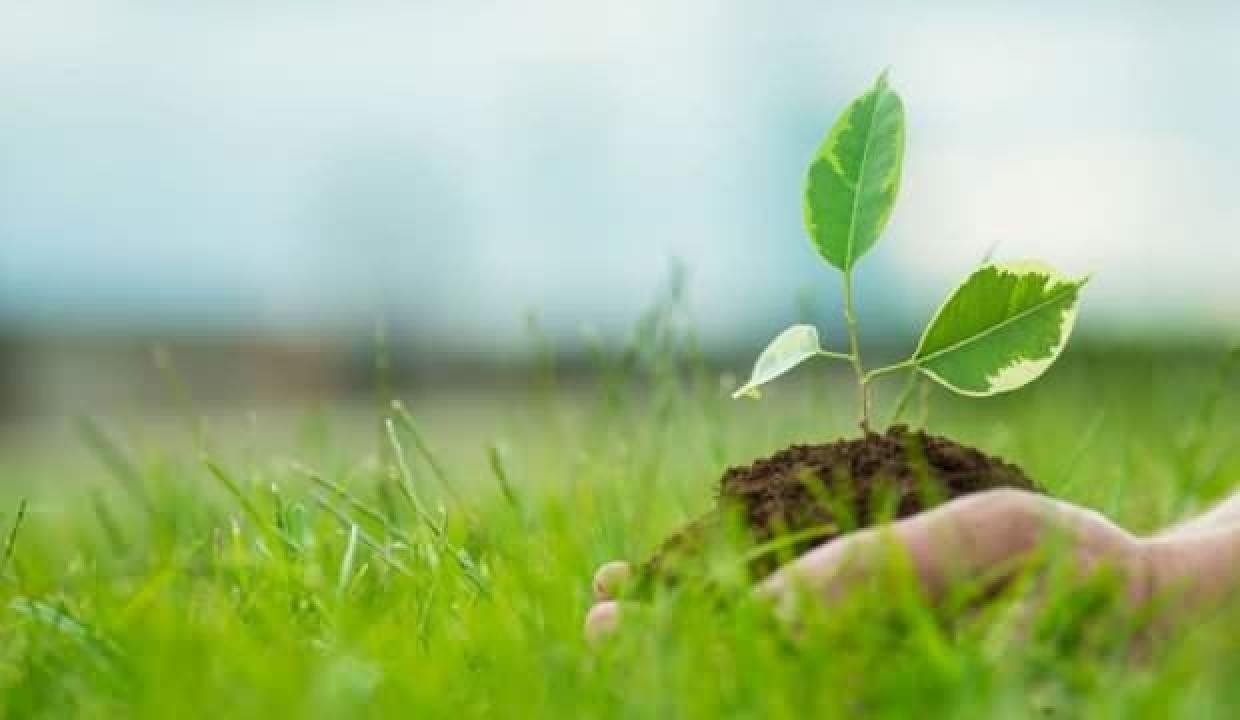 Bakanlık 56 bin 211 kontrol yaptı! 350 milyon lira ceza kesildi