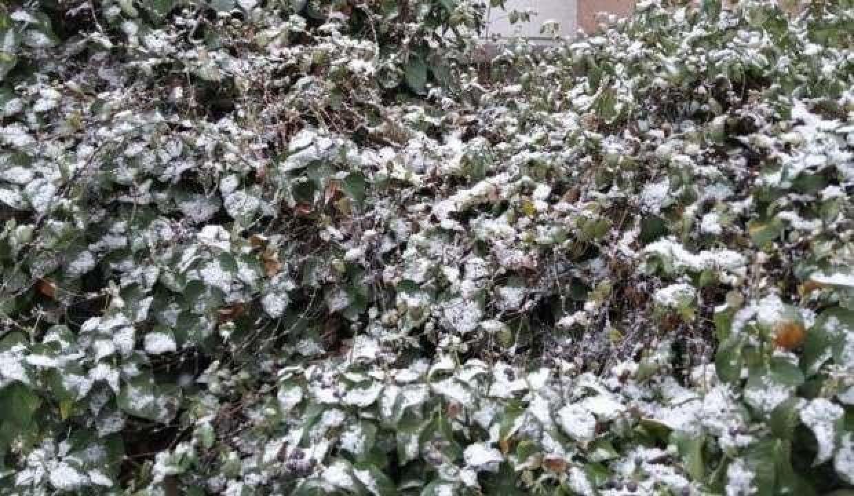 Başkent’te kar ve sis birebir anda bir ortada